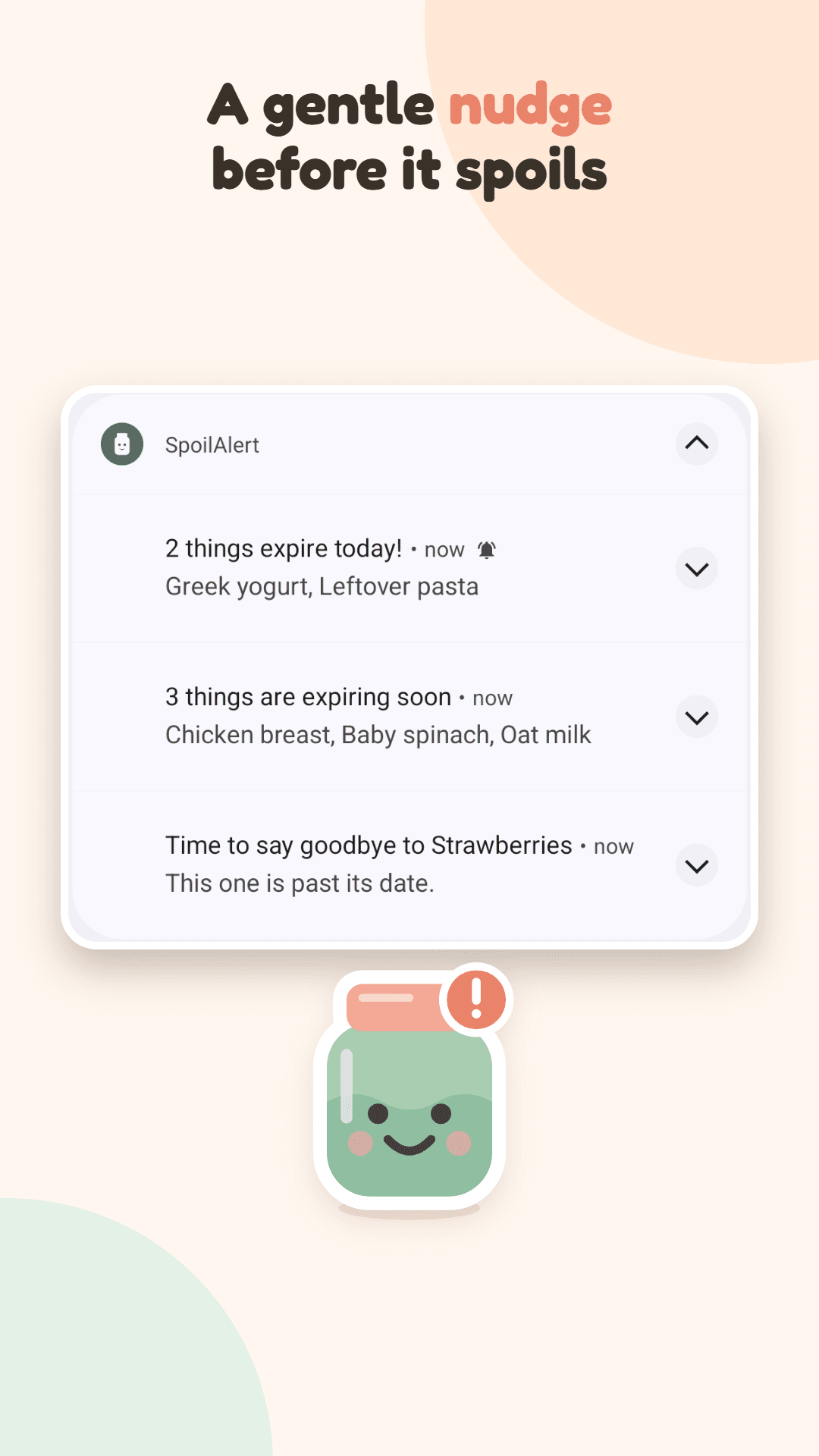 SpoilAlert notifications reminding you which items expire today and soon